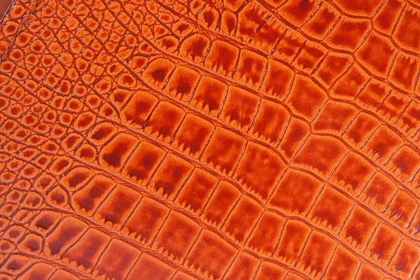 eski timsah deri doku arka plan