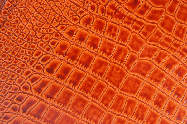 Gammal krokodil läder textur bakgrund Stockbild