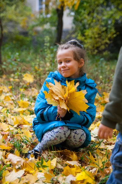 Adorable little girl with autumn leaves in the beauty park — Stock Photo, Image