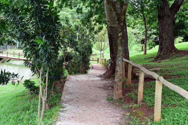 Jardín Botánico Parque Jardín Urbano Con Lagos Bosques Plantas Forestales — Foto de Stock