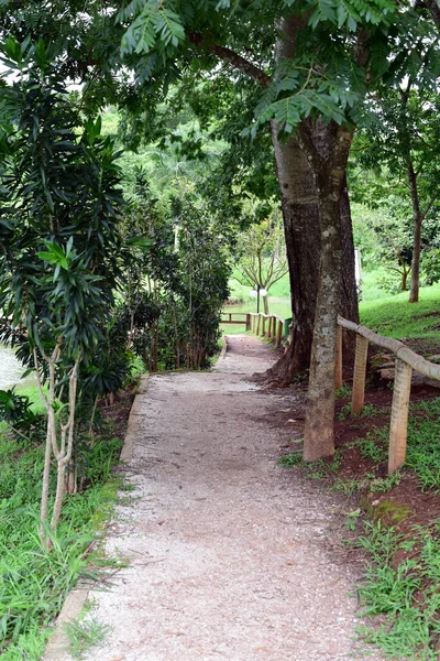 Jardín Botánico Parque Jardín Urbano Con Lagos Bosques Plantas Forestales — Foto de Stock