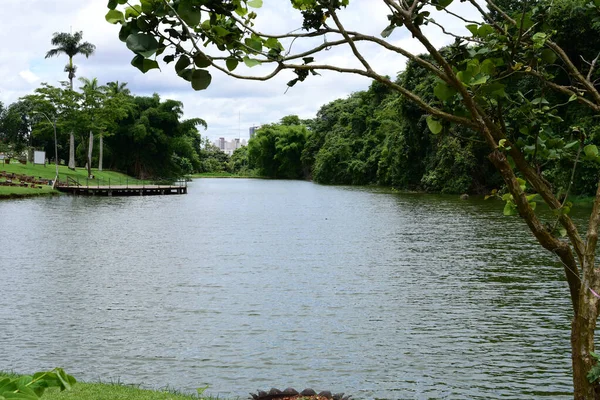 Jardin Botanique Jardin Urbain Avec Lacs Bois Plantes Forestières Herbe — Photo