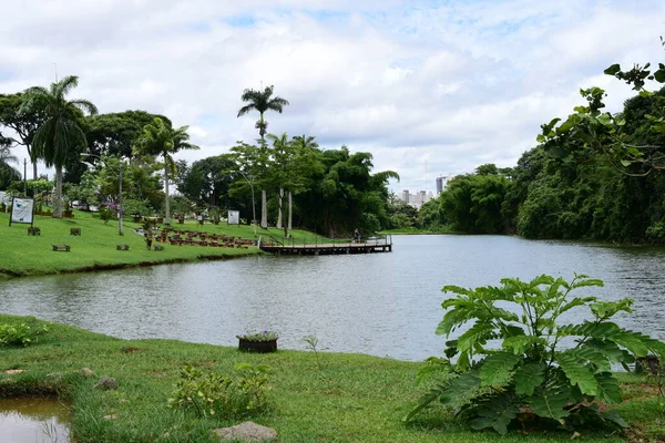 Botanischer Garten Park Urbaner Garten Mit Seen Wäldern Waldpflanzen Grünem — Stockfoto