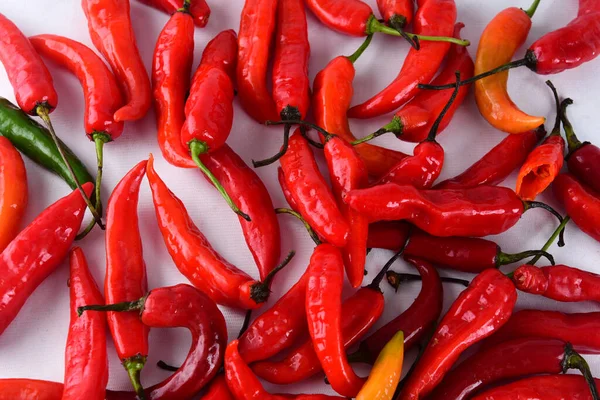 Kırmızı biber turşusu baharatlı doğal yiyecek, doğal sebze çeşni ve beyaz arka planda baharatlı yiyecek.