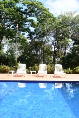 Beyaz sandalyeli havuz ve arka planda doğal bahçe.