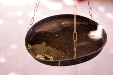 İçinde durgun kirli su olan terk edilmiş plastik ambalajlar. Yakın görüş. Potansiyel üreme alanlarında sivrisinekler. Hastalık transmisyonu