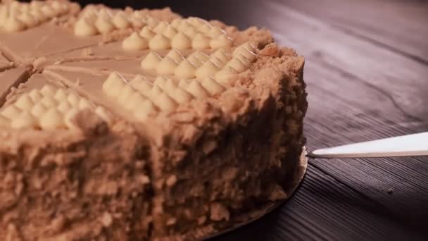 Lahodný dort s bílou polevou a kokosovou náplní. — Stock video