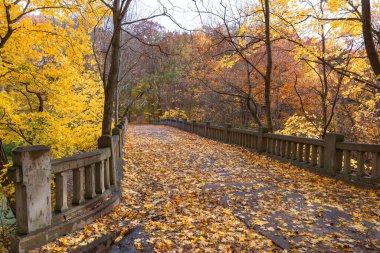 Yaprak kaplı patika bir sonbahar öğleden sonrasında. Matthiessen Eyalet Parkı, Illinois, ABD