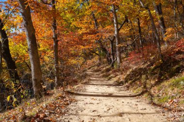 Düşen renkli ağaçların arasında toprak yürüyüş patikası. Aç Rock State Park, Illinois, ABD