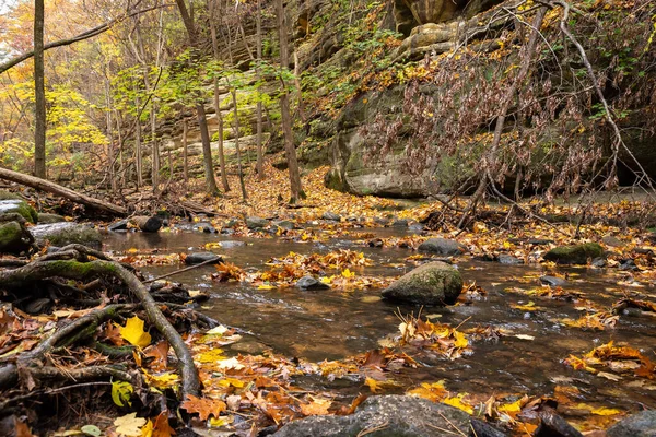 秋天的树叶和水流在山谷里 Matthiessen State Park Illinois Usa — 图库照片