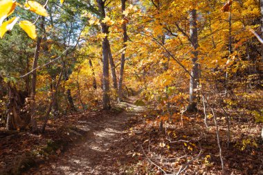 Düşen renkli ağaçların arasında toprak yürüyüş patikası. Aç Rock State Park, Illinois, ABD