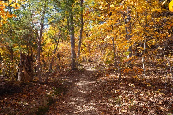 Düşen renkli ağaçların arasında toprak yürüyüş patikası. Aç Rock State Park, Illinois, ABD
