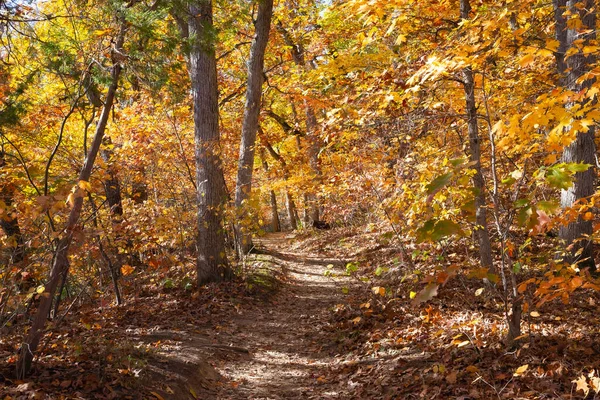 Düşen renkli ağaçların arasında toprak yürüyüş patikası. Aç Rock State Park, Illinois, ABD