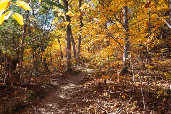 Düşen renkli ağaçların arasında toprak yürüyüş patikası. Aç Rock State Park, Illinois, ABD
