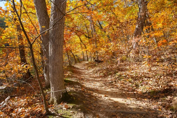 Düşen renkli ağaçların arasında toprak yürüyüş patikası. Aç Rock State Park, Illinois, ABD