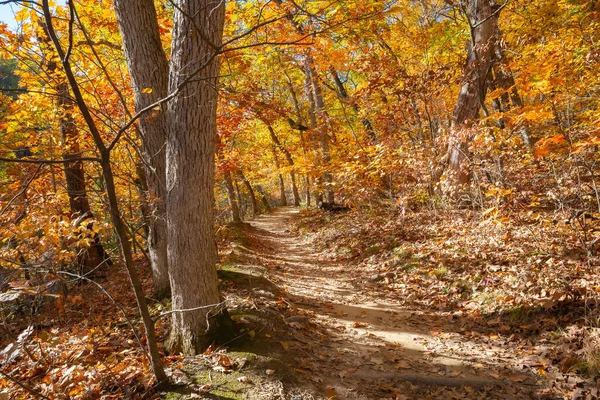 Sujeira Trilha Caminhadas Através Árvores Coloridas Queda Starved Rock State — Fotografia de Stock