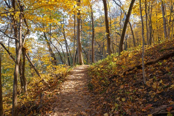 Düşen renkli ağaçların arasında toprak yürüyüş patikası. Aç Rock State Park, Illinois, ABD