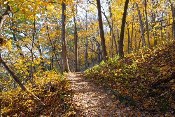 Düşen renkli ağaçların arasında toprak yürüyüş patikası. Aç Rock State Park, Illinois, ABD