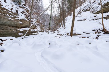 Yukarı Dells 'te karla kaplı bir arazi. Matthiessen Eyalet Parkı, Illinois, ABD.
