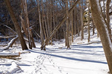 Kış karından sonra Illinois Kanyonu 'nda yürüyüş yapmak. Aç Rock State Park, Illinois, ABD.