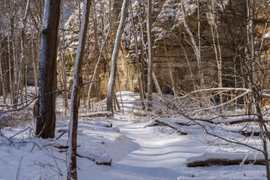 Illinois Kanyonu 'nda güzel bir kış sabahı kar yağdı. Aç Rock State Park, Illinois, ABD.