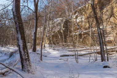 Illinois Kanyonu 'nda güzel bir kış sabahı kar yağdı. Aç Rock State Park, Illinois, ABD.