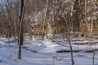 Illinois Kanyonu 'nda güzel bir kış sabahı kar yağdı. Aç Rock State Park, Illinois, ABD.