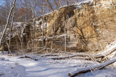 Illinois Kanyonu 'nda güzel bir kış sabahı kar yağdı. Aç Rock State Park, Illinois, ABD.