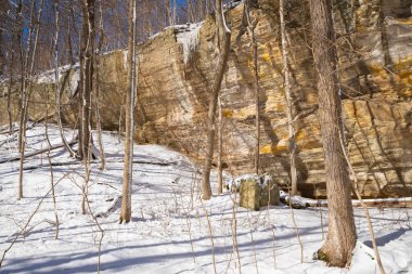 Illinois Kanyonu 'nda güzel bir kış sabahı kar yağdı. Aç Rock State Park, Illinois, ABD.