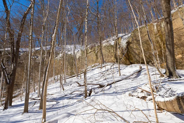 Illinois Kanyonu 'nda güzel bir kış sabahı kar yağdı. Aç Rock State Park, Illinois, ABD.