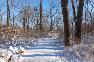 Kış karından sonra Illinois Kanyonu 'nda yürüyüş yapmak. Aç Rock State Park, Illinois, ABD.