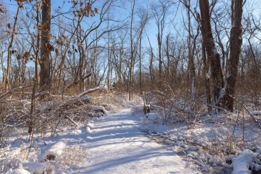 Kış karından sonra Illinois Kanyonu 'nda yürüyüş yapmak. Aç Rock State Park, Illinois, ABD.