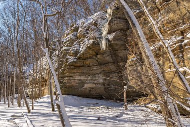 Illinois Kanyonu 'nda güzel bir kış sabahı kar yağdı. Aç Rock State Park, Illinois, ABD.