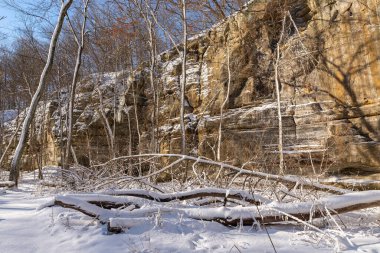 Illinois Kanyonu 'nda güzel bir kış sabahı kar yağdı. Aç Rock State Park, Illinois, ABD.