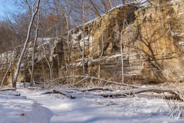 Illinois Kanyonu 'nda güzel bir kış sabahı kar yağdı. Aç Rock State Park, Illinois, ABD.