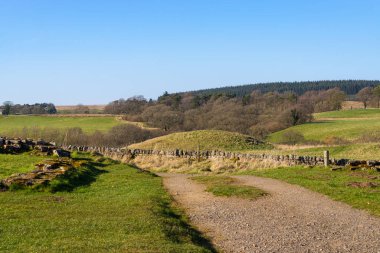 Harrow 'un yarasının kalıntıları, Kuzey İngiltere' deki Hadrian Duvarı 'nda 49 Milecastle..
