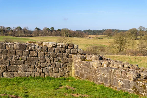 Ruïnes Van Harrow Scar Milecastle Hadrian Wall Noord Engeland — Stockfoto