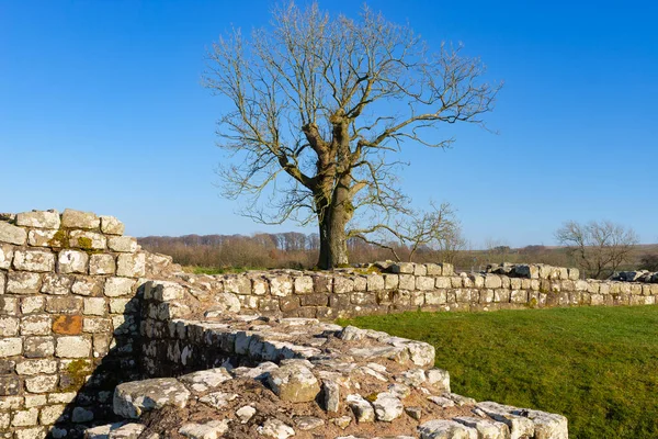 Ruïnes Van Harrow Scar Milecastle Hadrian Wall Noord Engeland — Stockfoto