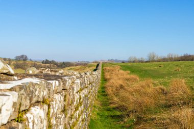 Milattan sonra 122 'de öğlen ışığında inşa edilen Hadrian Duvarı' nın kalıntıları. Birdoswald, İngiltere.
