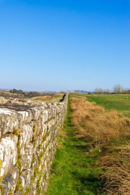 Milattan sonra 122 'de öğlen ışığında inşa edilen Hadrian Duvarı' nın kalıntıları. Birdoswald, İngiltere.