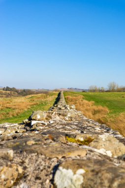 Milattan sonra 122 'de öğlen ışığında inşa edilen Hadrian Duvarı' nın kalıntıları. Birdoswald, İngiltere.