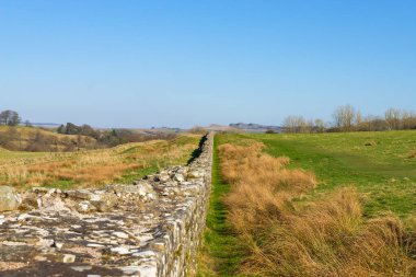 Milattan sonra 122 'de öğlen ışığında inşa edilen Hadrian Duvarı' nın kalıntıları. Birdoswald, İngiltere.