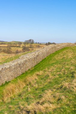 Milattan sonra 122 'de öğlen ışığında inşa edilen Hadrian Duvarı' nın kalıntıları. Birdoswald, İngiltere.