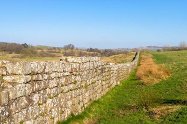 Milattan sonra 122 'de öğlen ışığında inşa edilen Hadrian Duvarı' nın kalıntıları. Birdoswald, İngiltere.