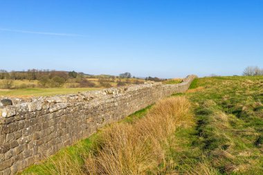 Milattan sonra 122 'de öğlen ışığında inşa edilen Hadrian Duvarı' nın kalıntıları. Birdoswald, İngiltere.