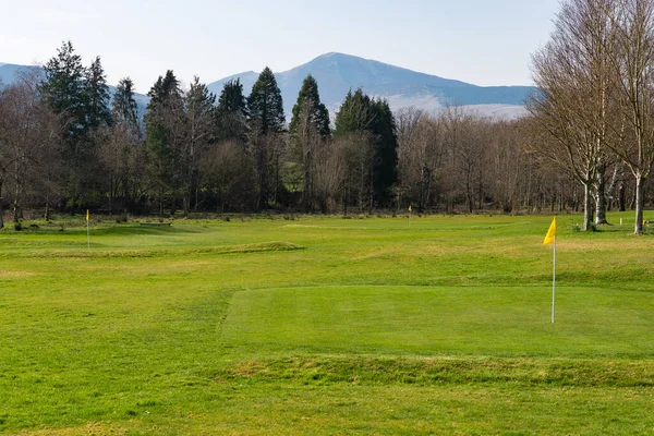 晴れた春の午後のゴルフコースと黄色の旗 ストック写真