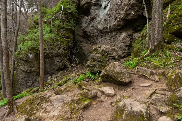 Krajina Státním Parku Maquoketa Jeskyně Zamračeném Jarním Ránu — Stock fotografie