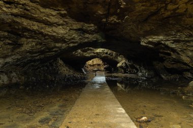 Maquoketa Mağara Parkı, Iowa 'daki Dans Salonu Mağarası' na giden yol..