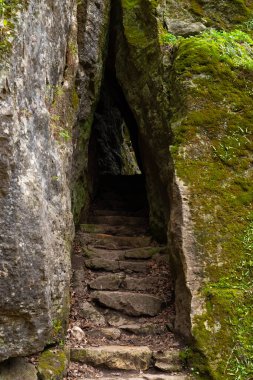 Taş merdiven ve izler Maquoketa, Iowa 'daki kayalıklardan geçiyor..