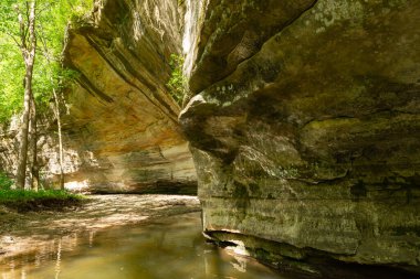 Illinois Kanyonu 'ndaki kumtaşı kanyon duvarları güneşli bir bahar öğleden sonrasında. Aç Rock State Park, Illinois, ABD.